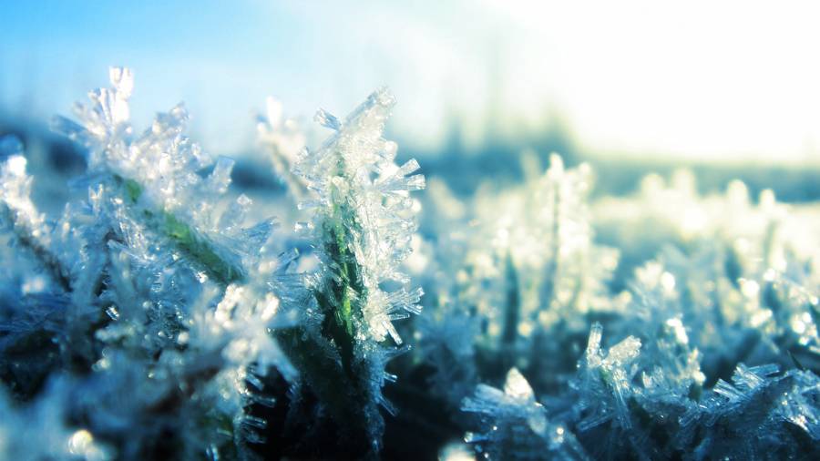 Frost3.png