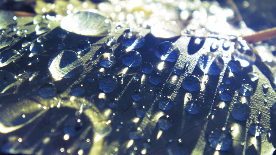 Raindrops.png