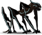 the phantom stalker